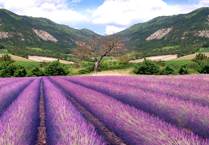 九游娱乐app免费下载